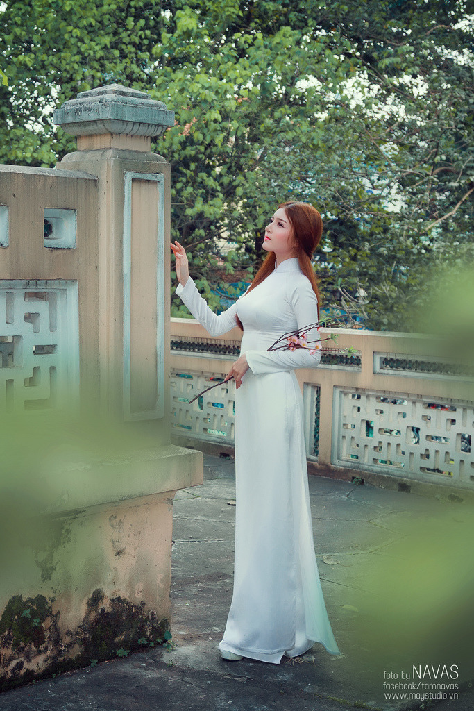 布拉芙夫人完整电视剧免费大鱼